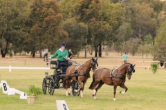 Chuckie Radnedge Open Horse Tandem winner