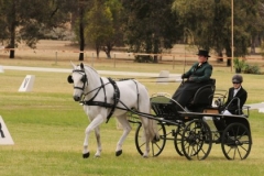 Michelle Jones Open Horse winner